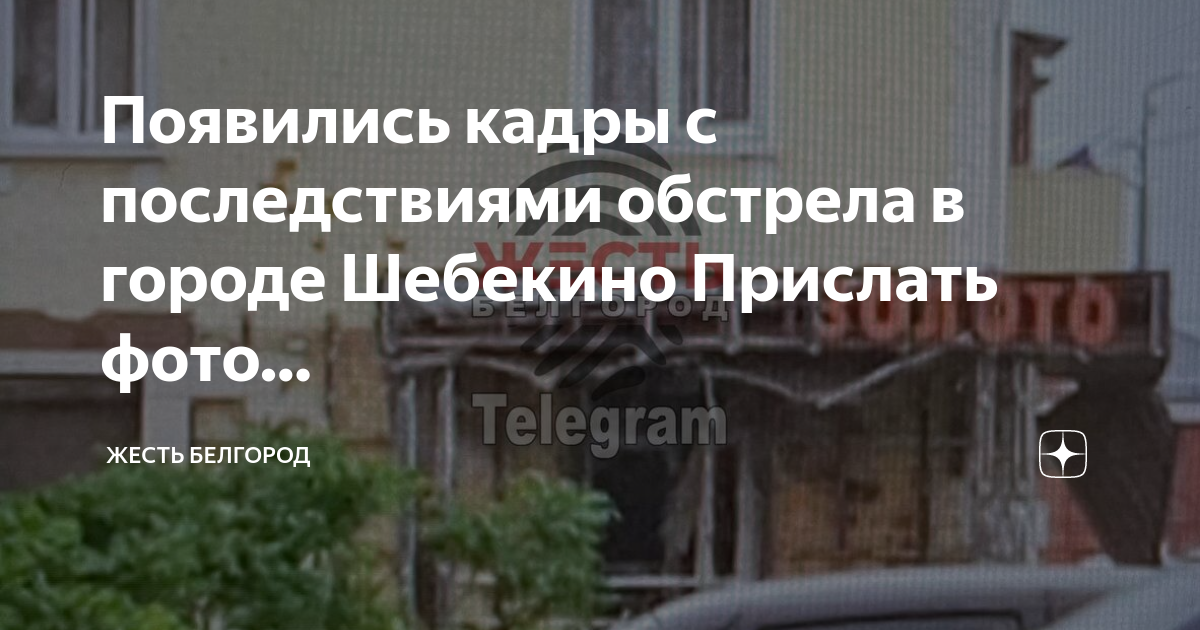 жесть белгород шебекино