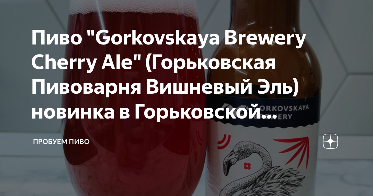 Пиво "Gorkovskaya Brewery Cherry Ale" (Горьковская Пивоварня Вишневый ...