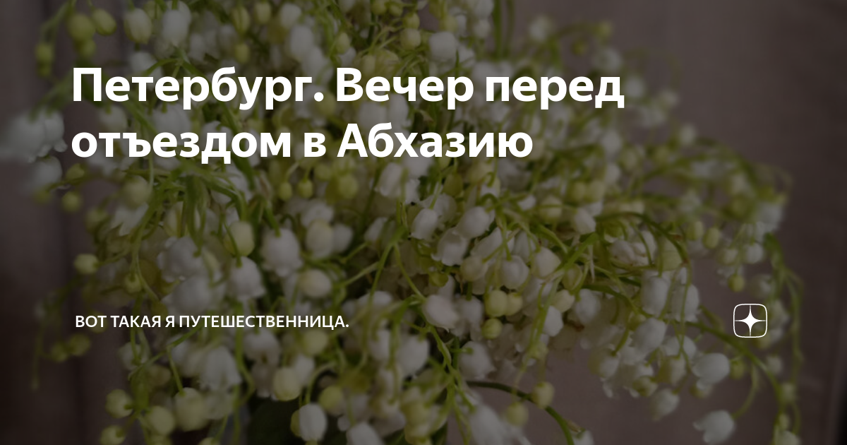 Петербург. Вечер перед отъездом в Абхазию | Вот такая я путешественница ...