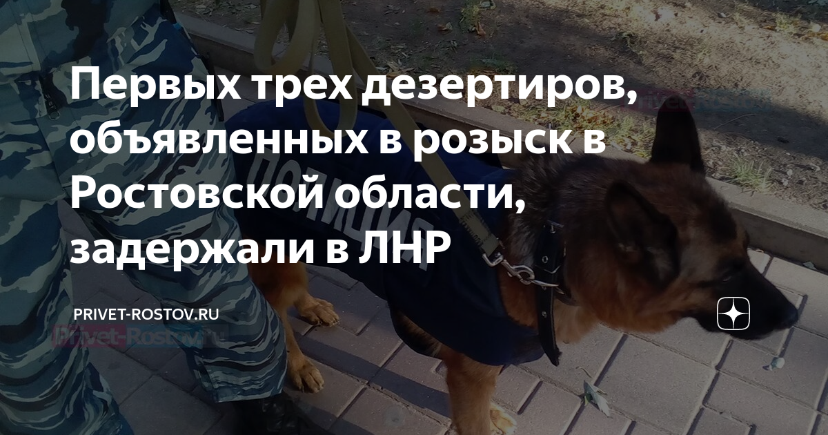 Дезертиры лнр. Дезертиры лнр