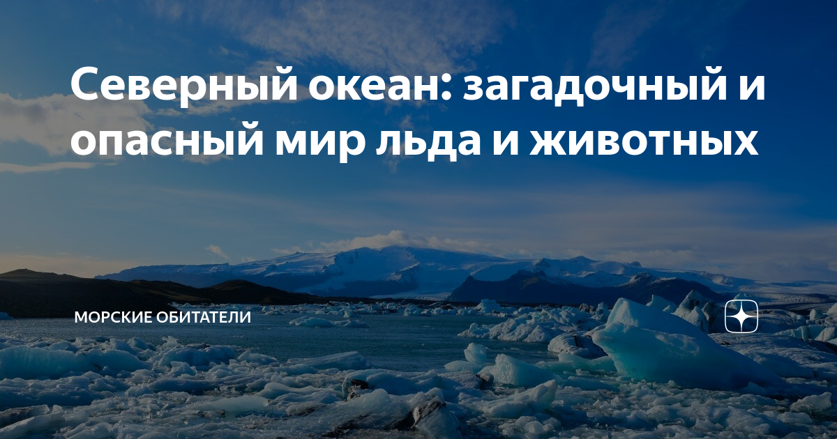 Холодно океан текст. Самый холодный океан. Самый загадочный океан. Загадочный океан России. Холодное пенное на льду.