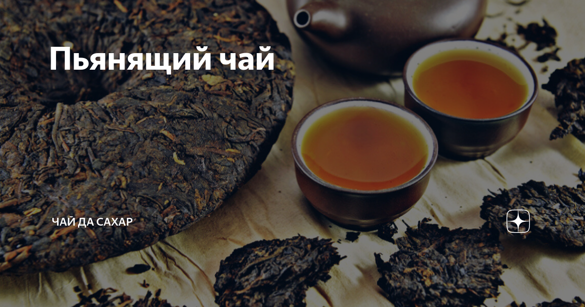 Пьянящий чай | Чай да Сахар | Дзен