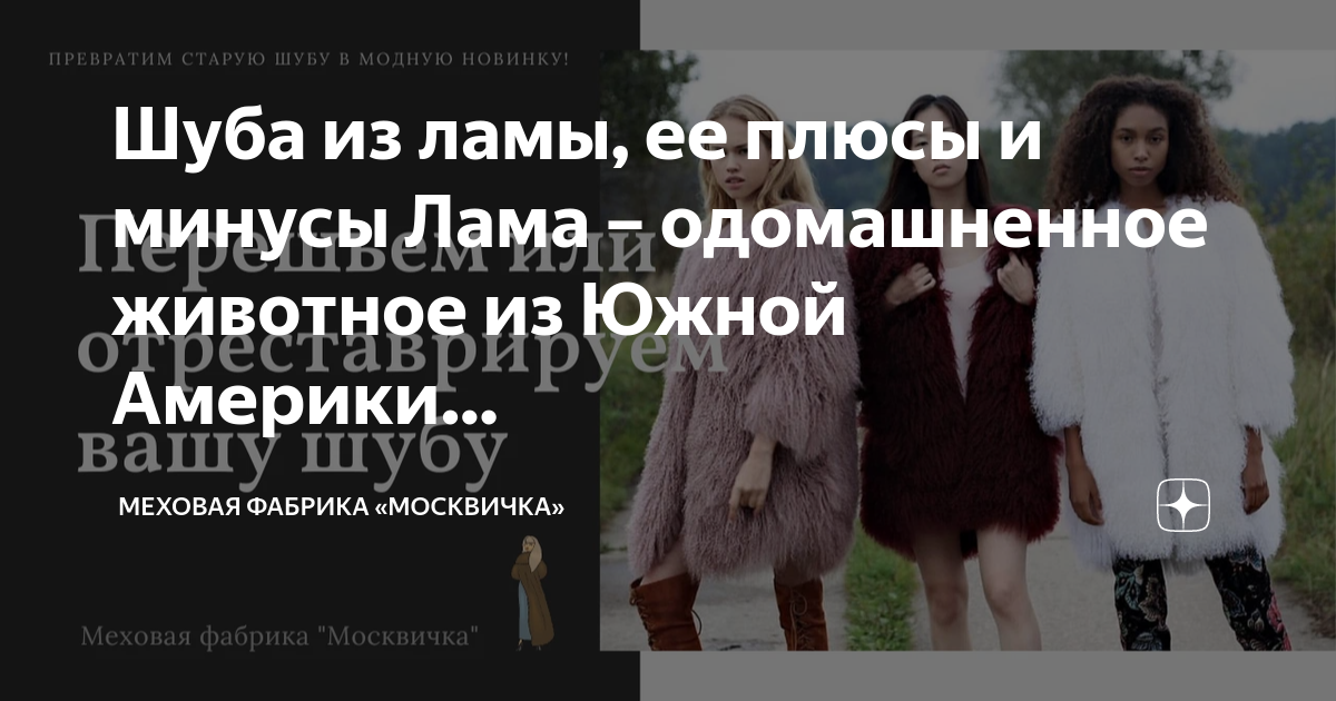 Сонник чужая шуба, к чему снится видеть чужую шубу во сне