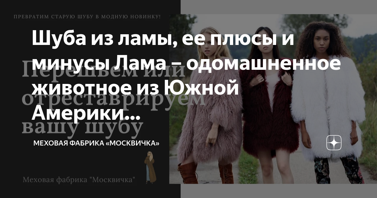 Молочная шуба с чем носить