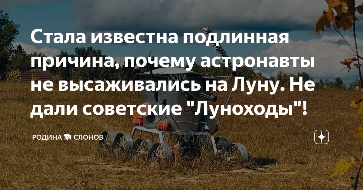 Подлинную или подлиную. Подлинную или подлиную