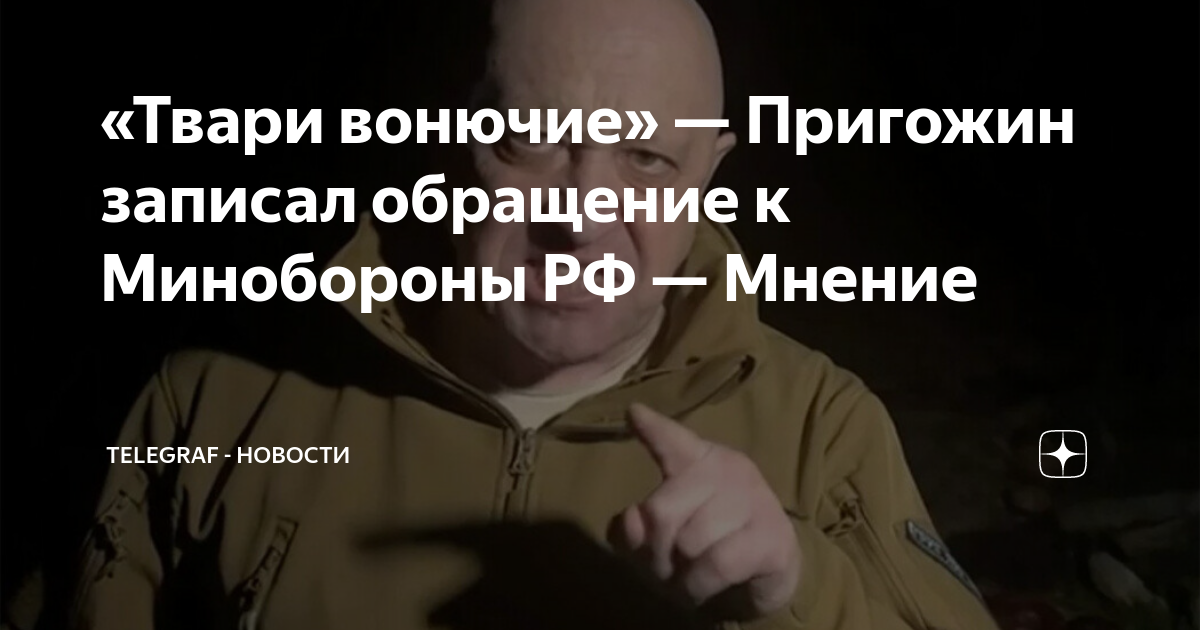 Твари вонючие. Мопс урод. Смешные обложки газет. Твари вонючие. Заголовки желтой прессы.