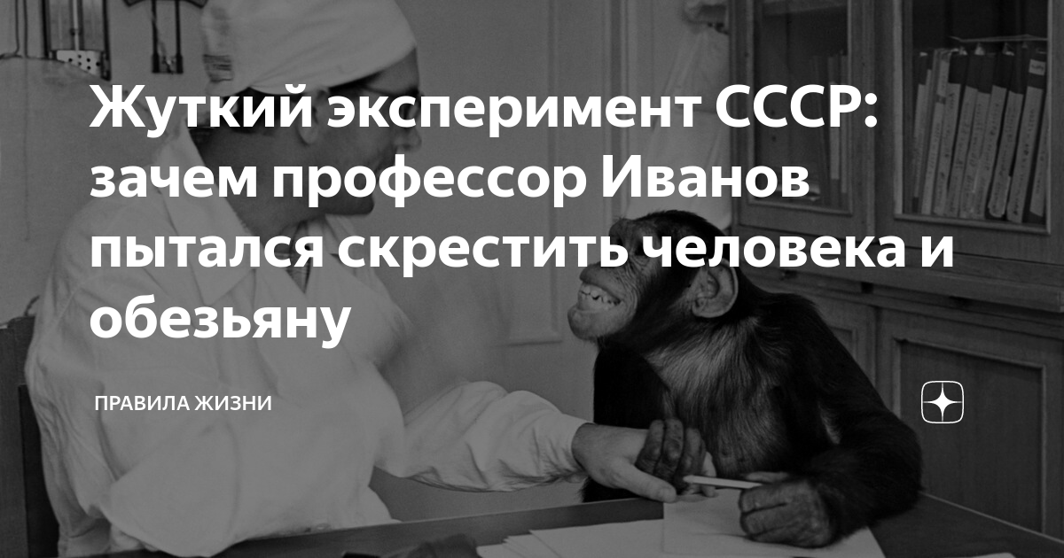 Жуткий эксперимент СССР: зачем профессор Иванов пытался скрестить ...