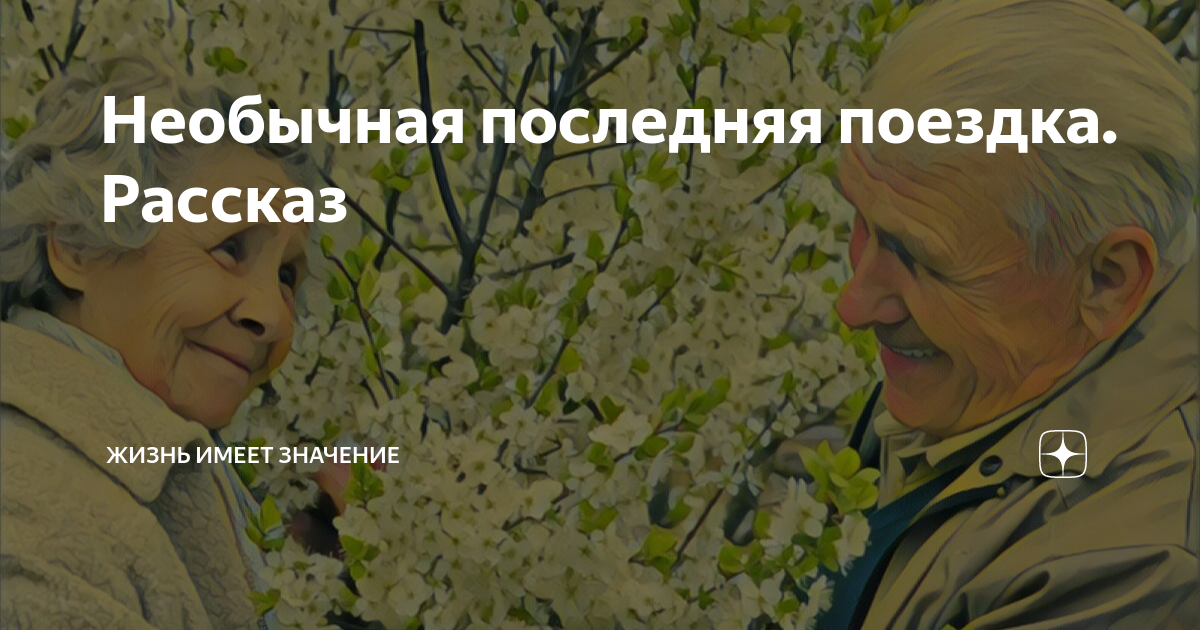 Необычная последняя поездка. Рассказ | Жизнь имеет значение | Дзен