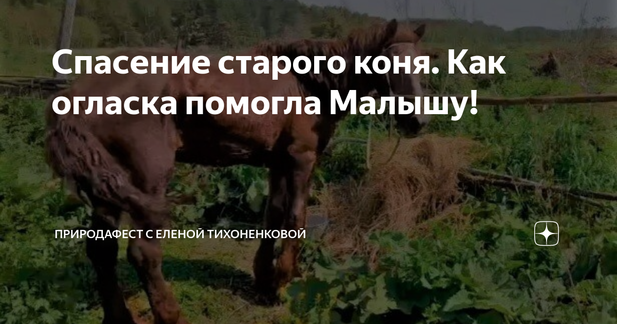 Спасем старый. Спасем старый. Спасем старый. Н туроверовой. Литва г.