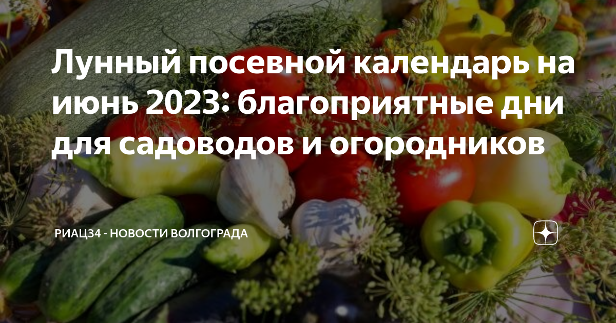 Лунный календарь 2023 года огородника посевной