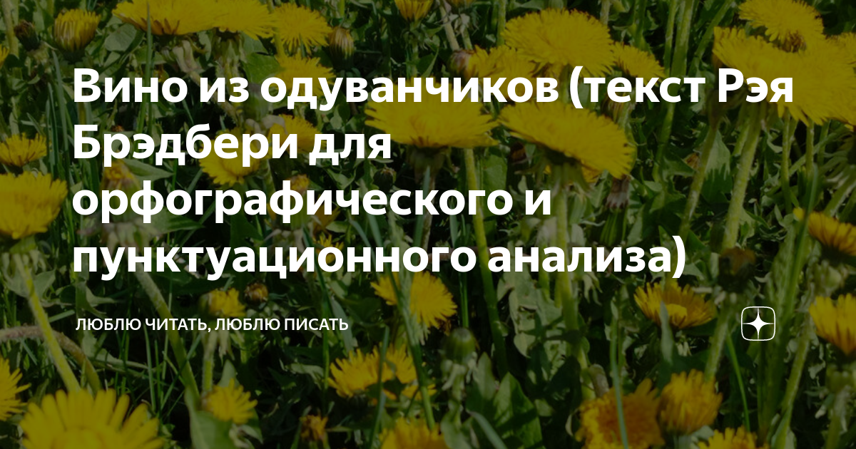 Похожие на одуванчики текст. Одуванчики текст. Проволока из одуванчиков текст.