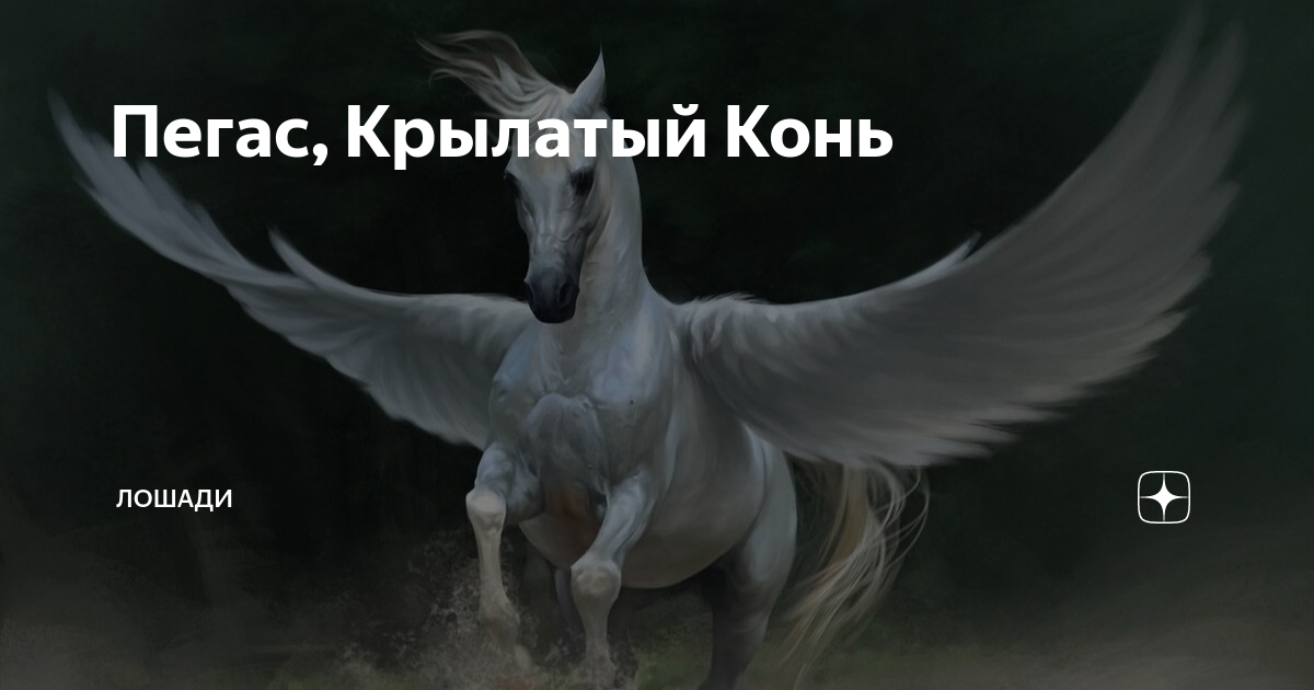 Пегас мифология. Табун мифических лошадей якутск. Отец бессмертного крылатого коня пегаса. Лошадь диджитал арт. Лошадь с крыльями.