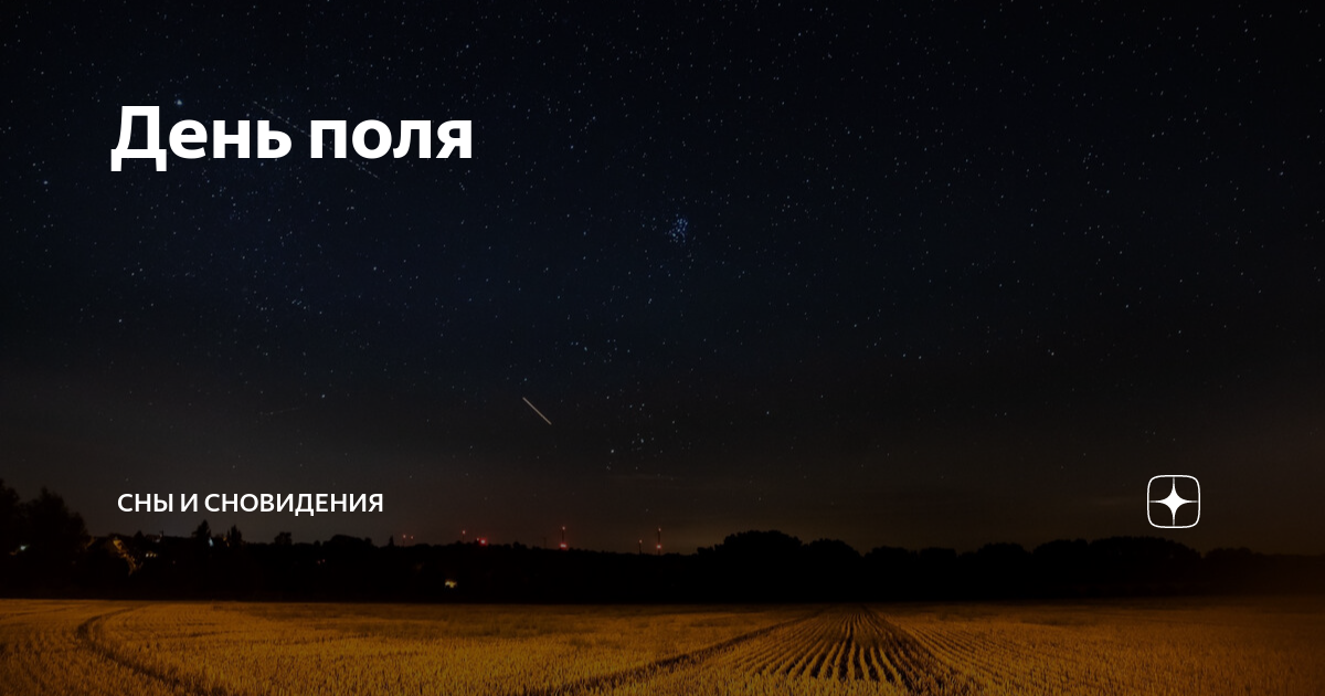 К чему снится поле травы. Снится трава. Пампасная трава япония. К чему снится поля с цветами. К чему снится поле травы.