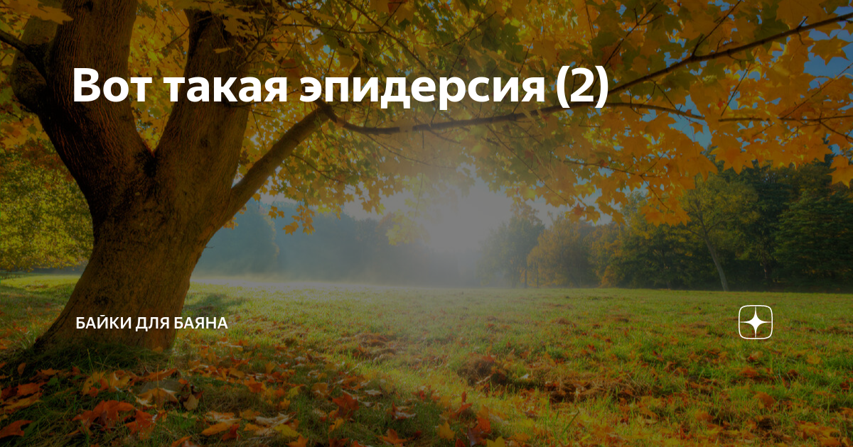 Эпидерсия это простыми. Вот такая эпидерсия Настасья Павловна. Эпидерсия. Эпидерсия это что такое простыми словами.