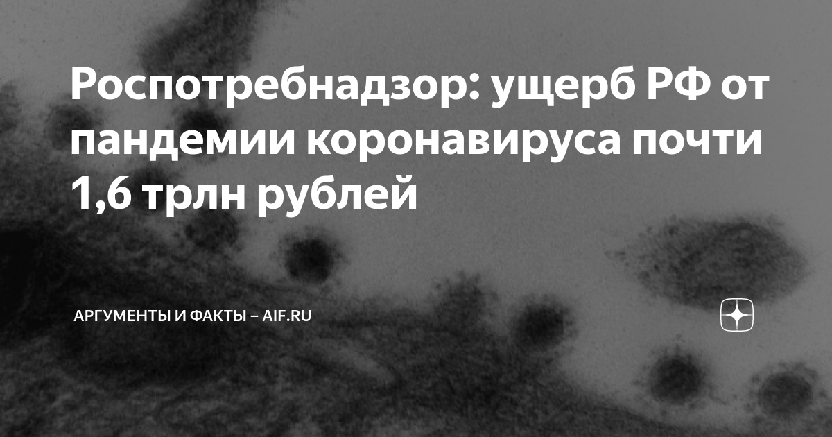 Роспотребнадзор: ущерб РФ от пандемии коронавируса почти 1,6 трлн ...