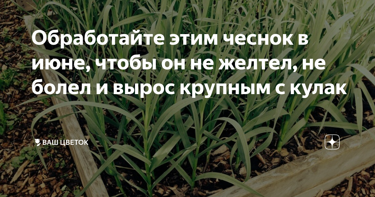 Обработайте картинку таким образом чтобы на них остались только изображения моделей на белом фоне