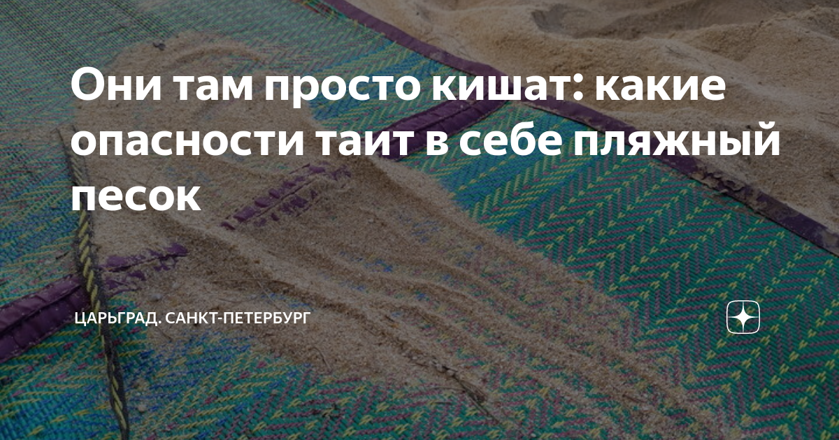 Они там просто кишат: какие опасности таит в себе пляжный песок ...