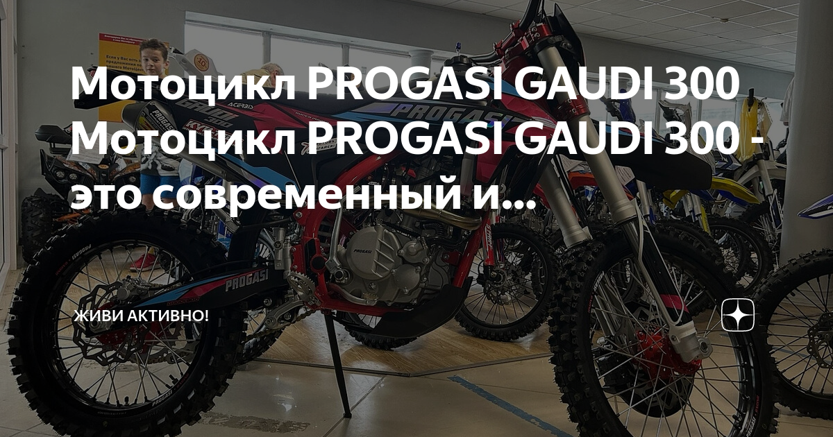 Progasi Gaudi 300. Мотоцикл progasi. Progasi Gaudi 300 красный. Мотоцикл с максимальными кубами.
