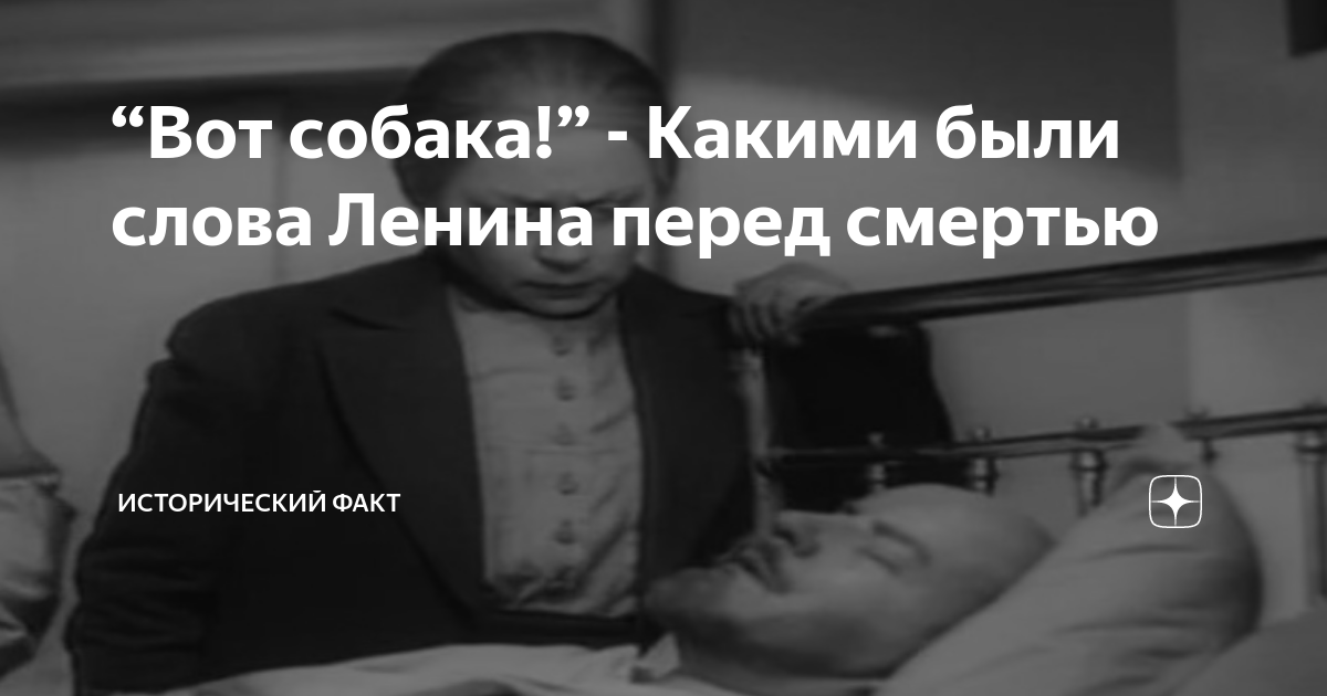 “Вот собака!” - Какими были слова Ленина перед смертью | Необычный факт ...