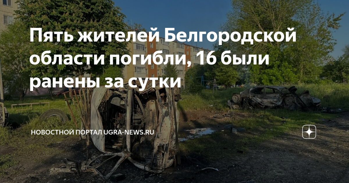 Сколько погибло жителей белгородской области