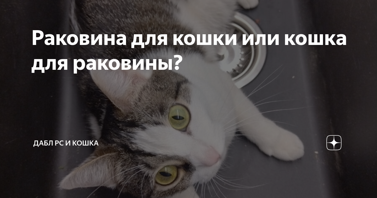Баскетбол что такое дабл дабл. Дабл рс и дабл кошки. Бордюры для декупажа кухня. Атомный ледокол ленин. Дабл рс и дабл кошки.