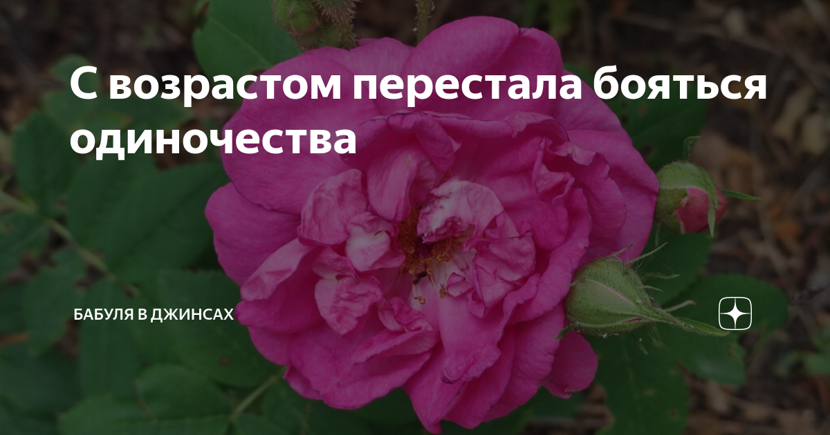 С возрастом перестала бояться одиночества | Бабуля в джинсах | Дзен
