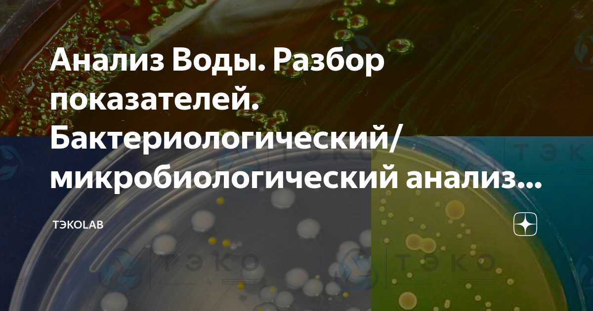 Анализ Воды. Разбор показателей. Бактериологический/микробиологический ...