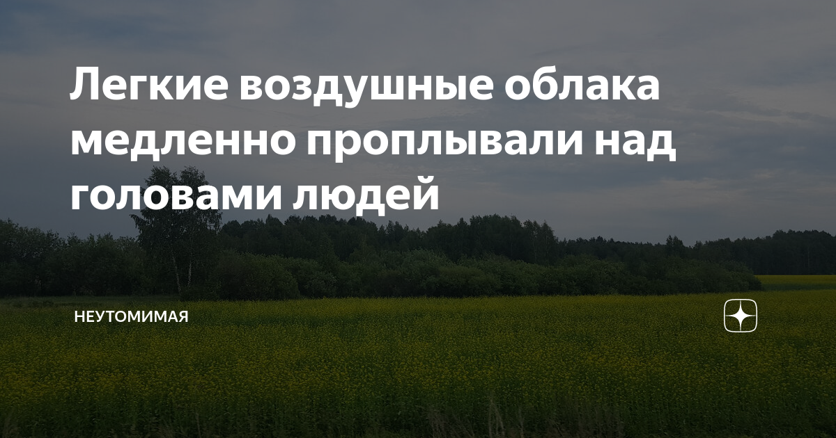 Неутомимая дзен читать