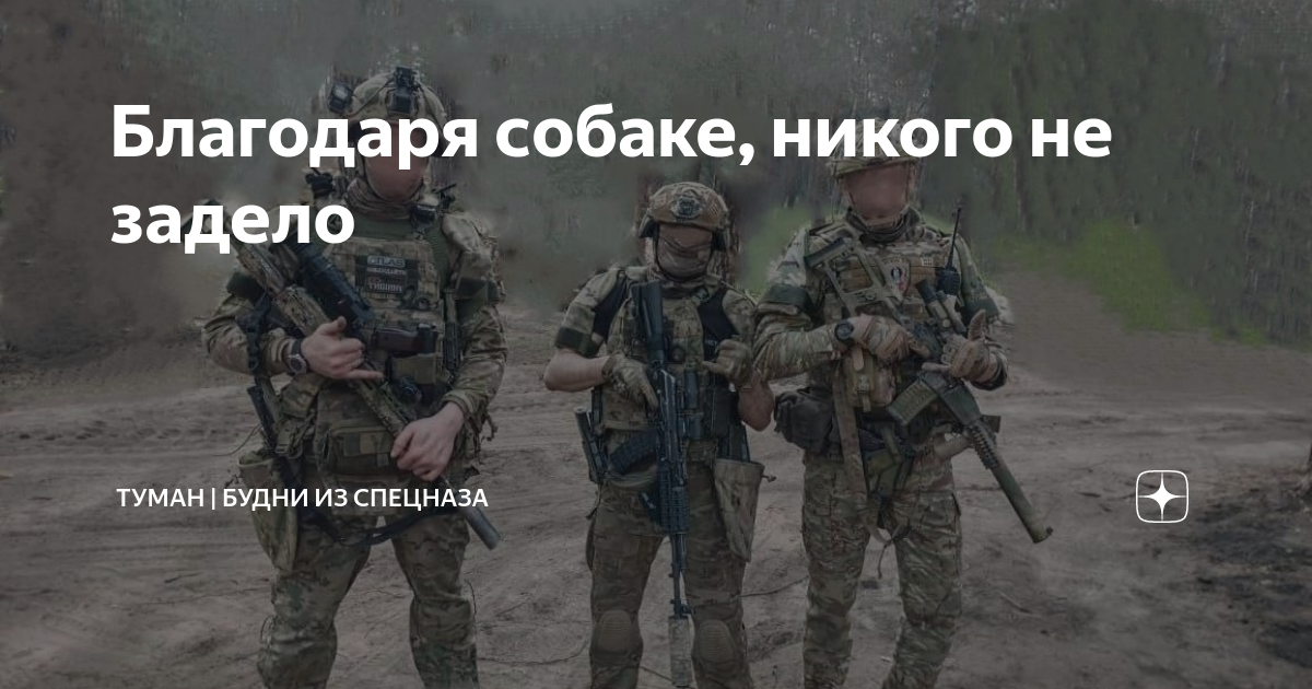 Благодаря собаке, никого не задело | ТУМАН | Будни спецназа | Дзен
