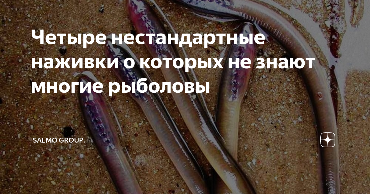 Четыре нестандартные наживки о которых не знают многие рыболовы | Salmo ...