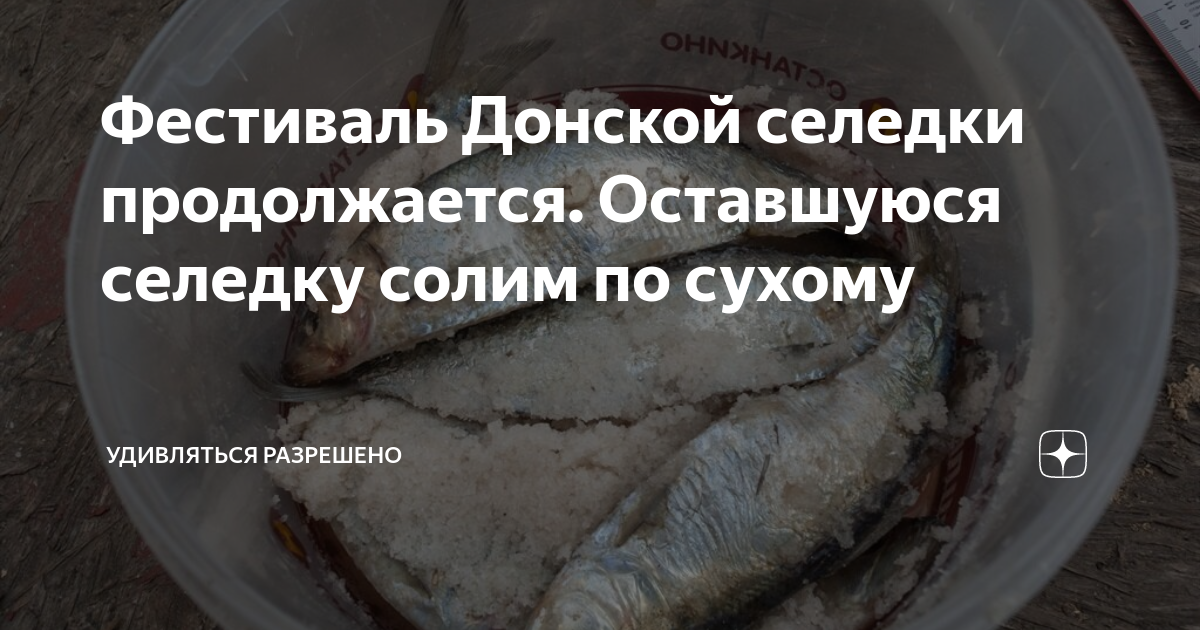 Фестиваль Донской селедки продолжается. Оставшуюся селедку солим по ...