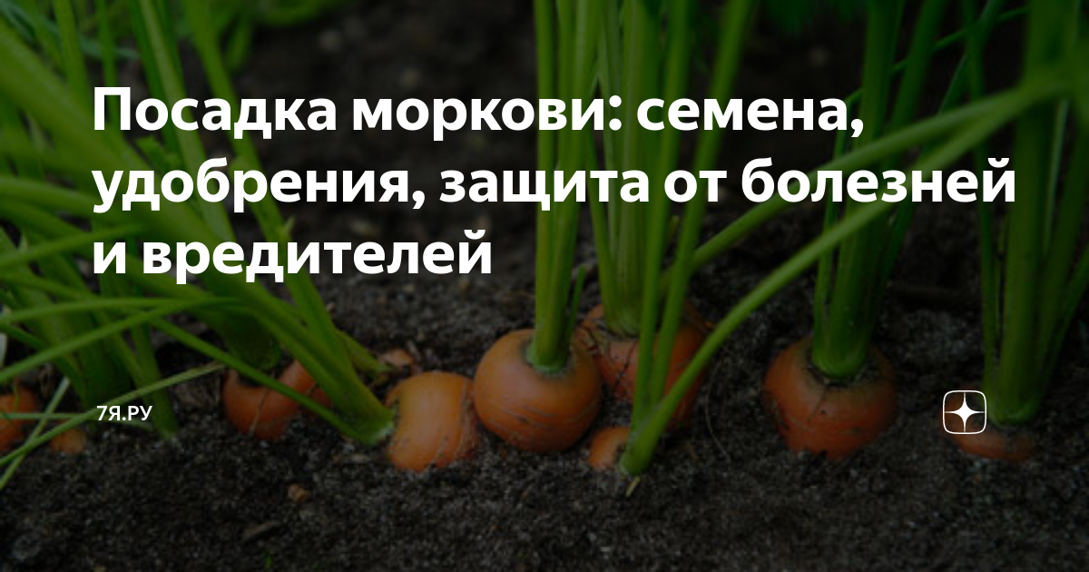 Минеральные удобрения