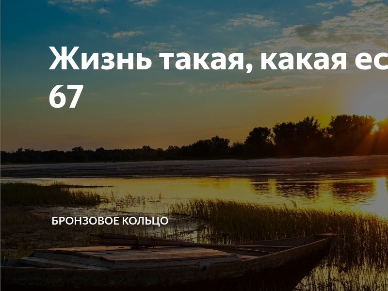 Жизнь такая, какая есть. Глава 67 | Бронзовое кольцо | Дзен