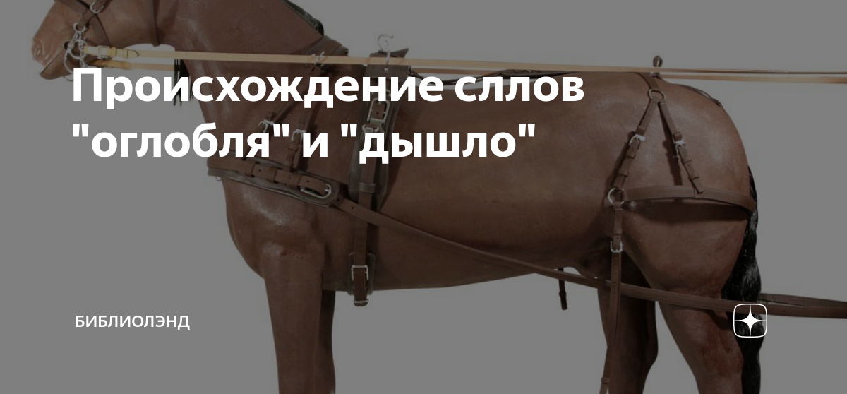 Что такое дышло история 5 класс кратко. Дышло упряжь. Дышло для лошади. Дышло оглобля.