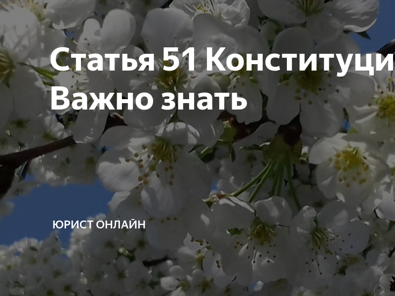 51-я статья конституции российской федерации
