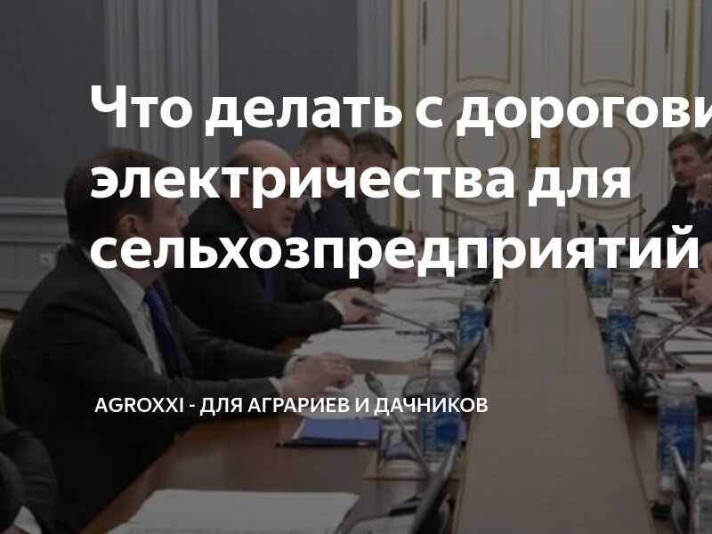 Что делать с дороговизной электричества для сельхозпредприятий ...