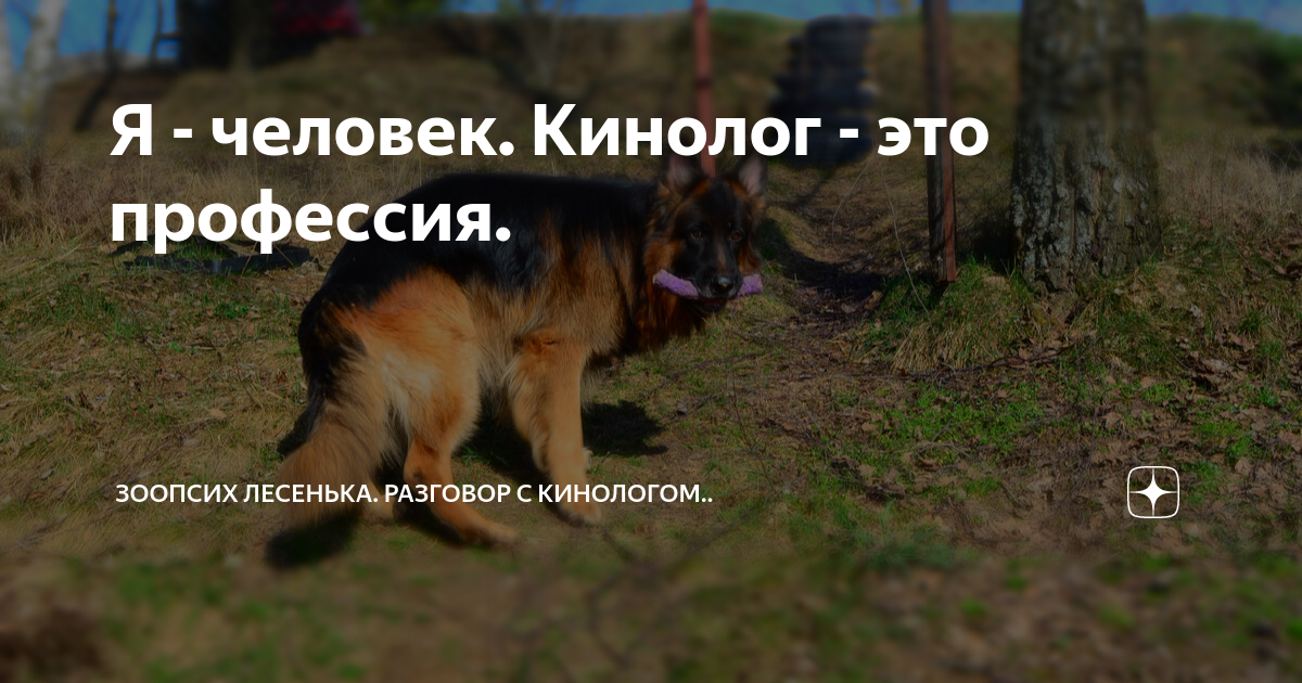 Я - человек. Кинолог - это профессия. | Зоопсих Лесенька. Разговор с ...