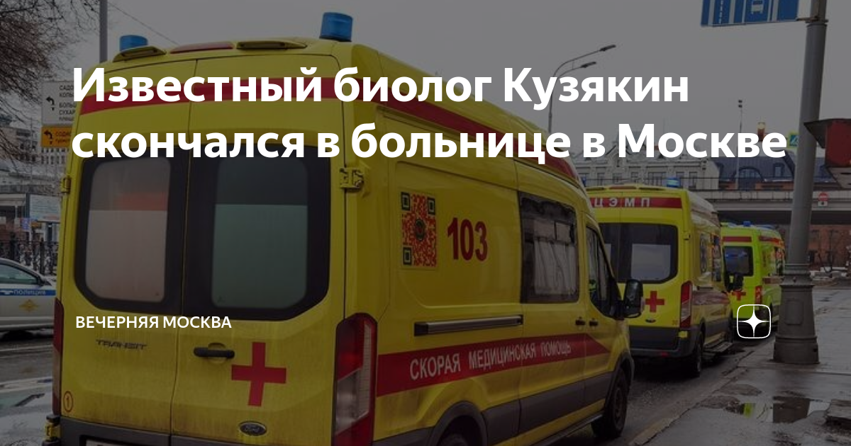 Известный биолог Кузякин скончался в больнице в Москве | Вечерняя ...