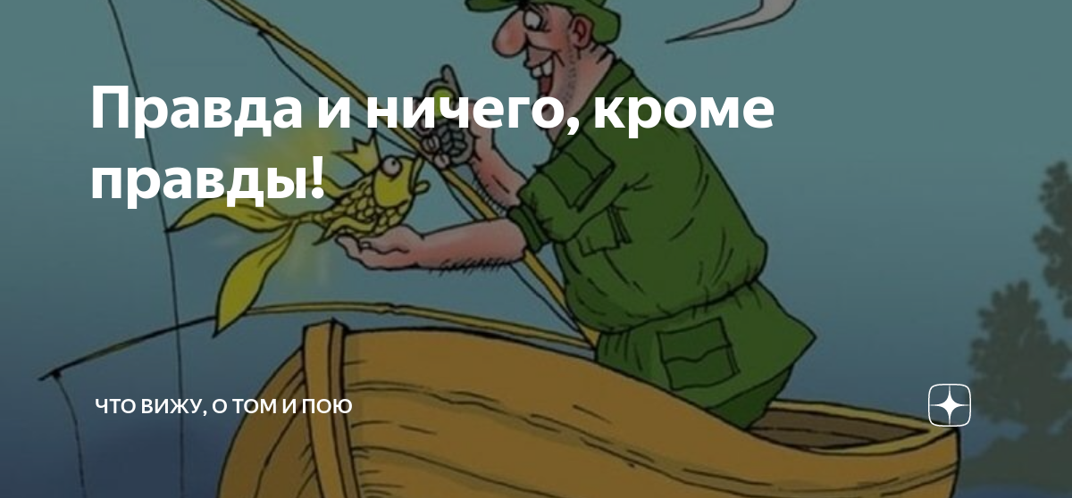 Правда и ничего, кроме правды! | Что вижу, о том и пою | Дзен