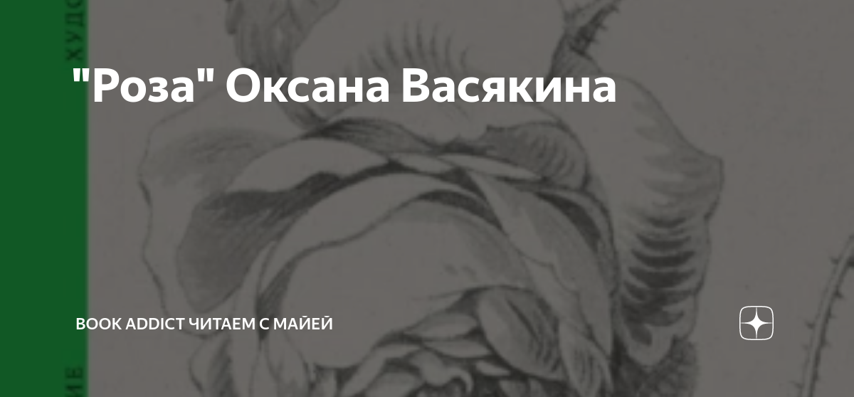 Большая книга васякина