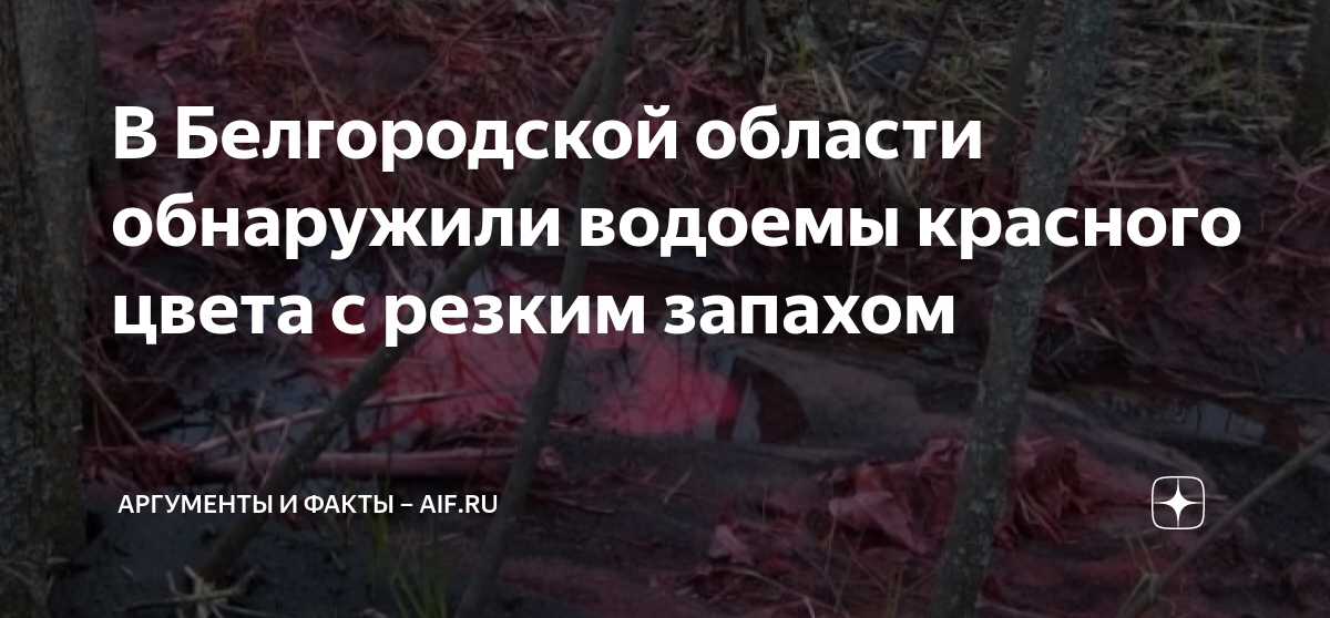 В Белгородской области обнаружили водоемы красного цвета с резким ...