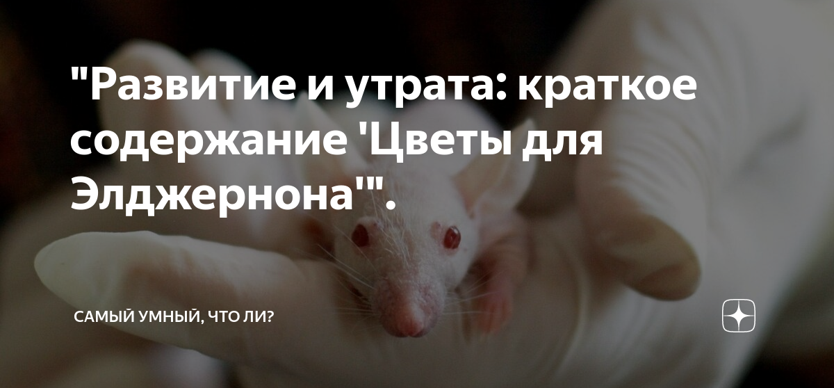 "Развитие и утрата: краткое содержание 'Цветы для Элджернона'". | Самый ...