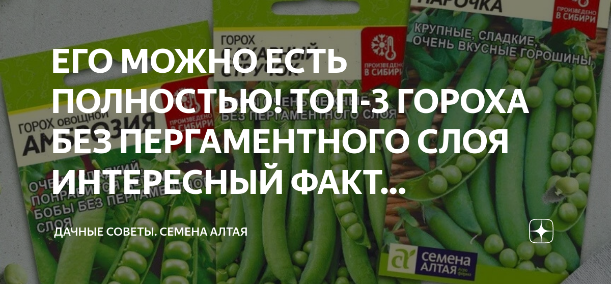 Алтайские семена. Алтайские семена каталог. Каталог семян. Семена алтая. Алтайские семена.