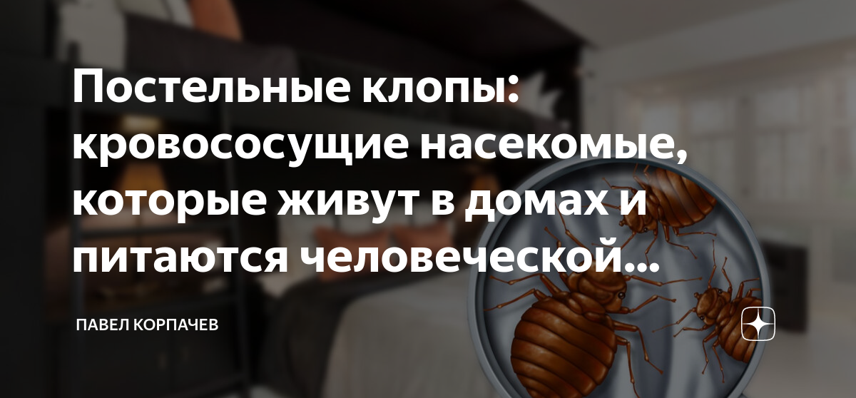 К чему снятся клопы и тараканы женщине. К чему снятся клопы и тараканы женщине. К чему снятся клопы и тараканы женщине. К чему снятся клопы и тараканы женщине. К чему снятся клопы и тараканы женщине.