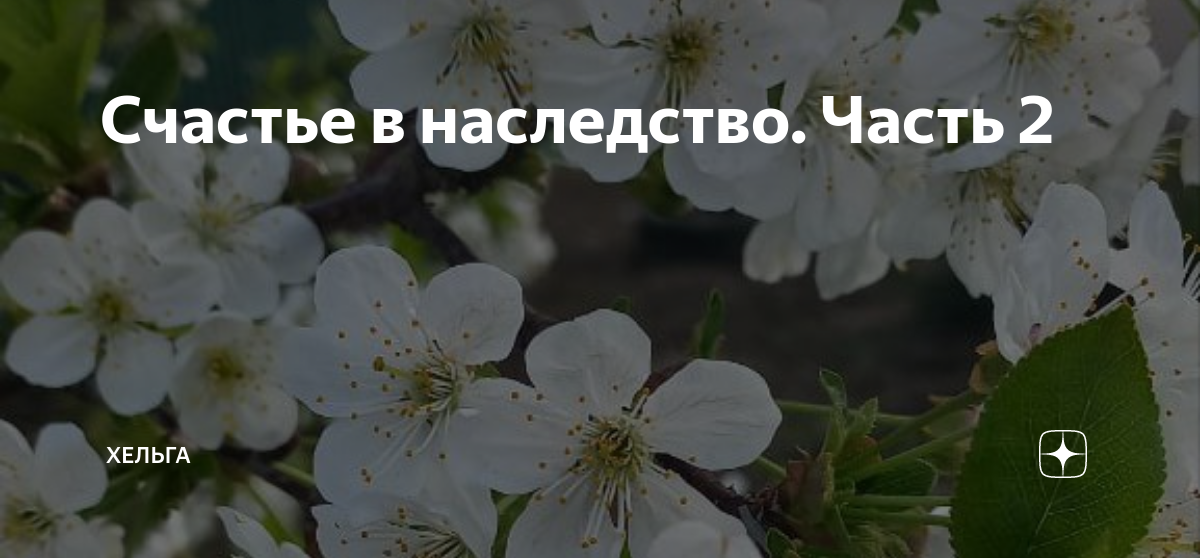 Счастье в наследство. Часть 2 | Хельга | Дзен