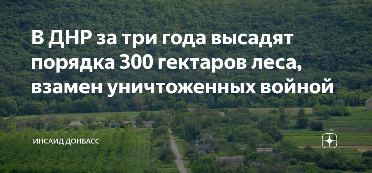 Триста гектаров. Лес в 300 году