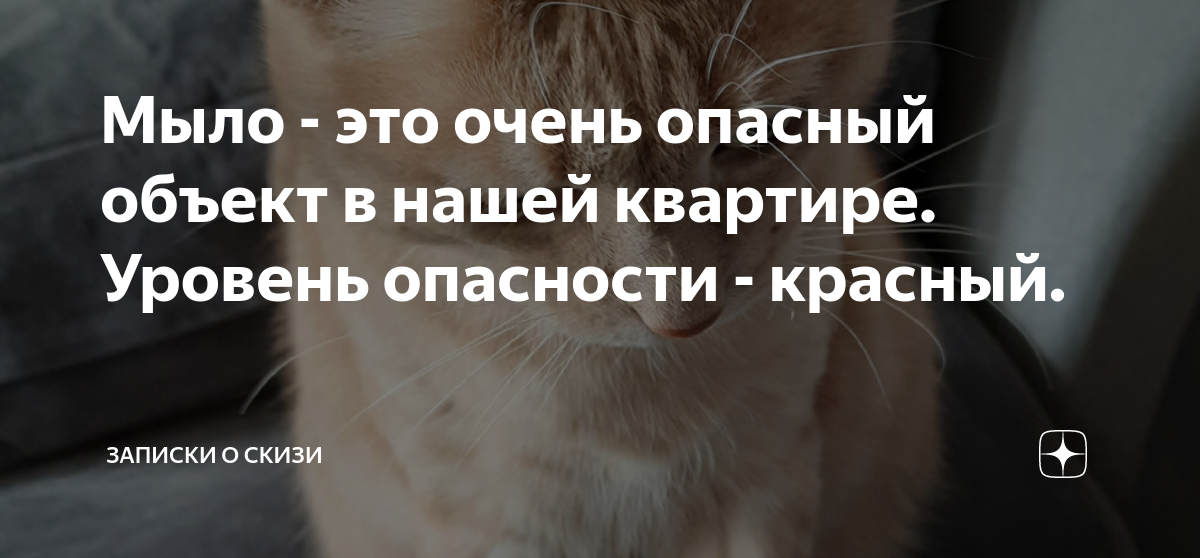 Мыло - это очень опасный объект в нашей квартире. Уровень опасности ...