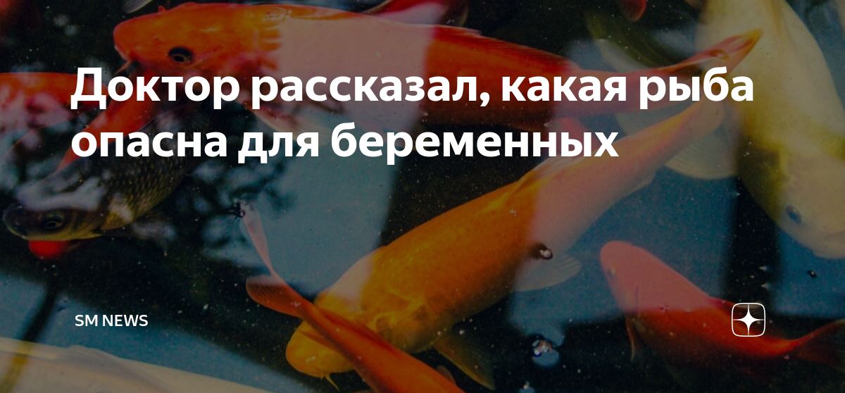 Крупная рыба почему она опасна для беременных и детей рассказывает нутрициолог