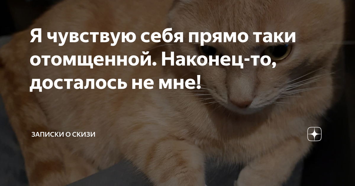 я не чувствую себя как дома