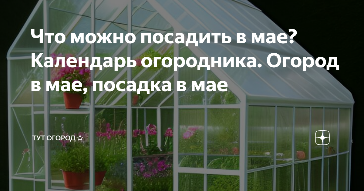Посадка в май. Помидоры посадка в мае